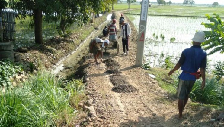 Petani Desa Leuwigede Sambut Baik Pengerasan Jalan Sawah Oleh Kelompok Tani